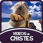 Vídeos de Chistes ikon