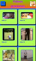 Funny videos poster