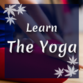 Videos to Learn the Yoga