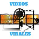 Videos virales del momento APK