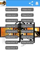 Videos virales del momento poster