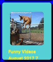 Komik videolar Ekran Görüntüsü 1