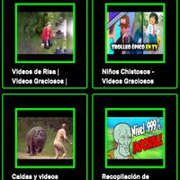 lustige Videos Screenshot 2