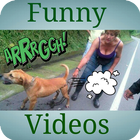 Funny videos أيقونة