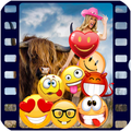 Funny videos