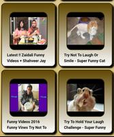 Funny videos 스크린샷 2