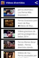 Videos Graciosos Diversion اسکرین شاٹ 3