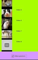 Videos graciosos captura de pantalla 2