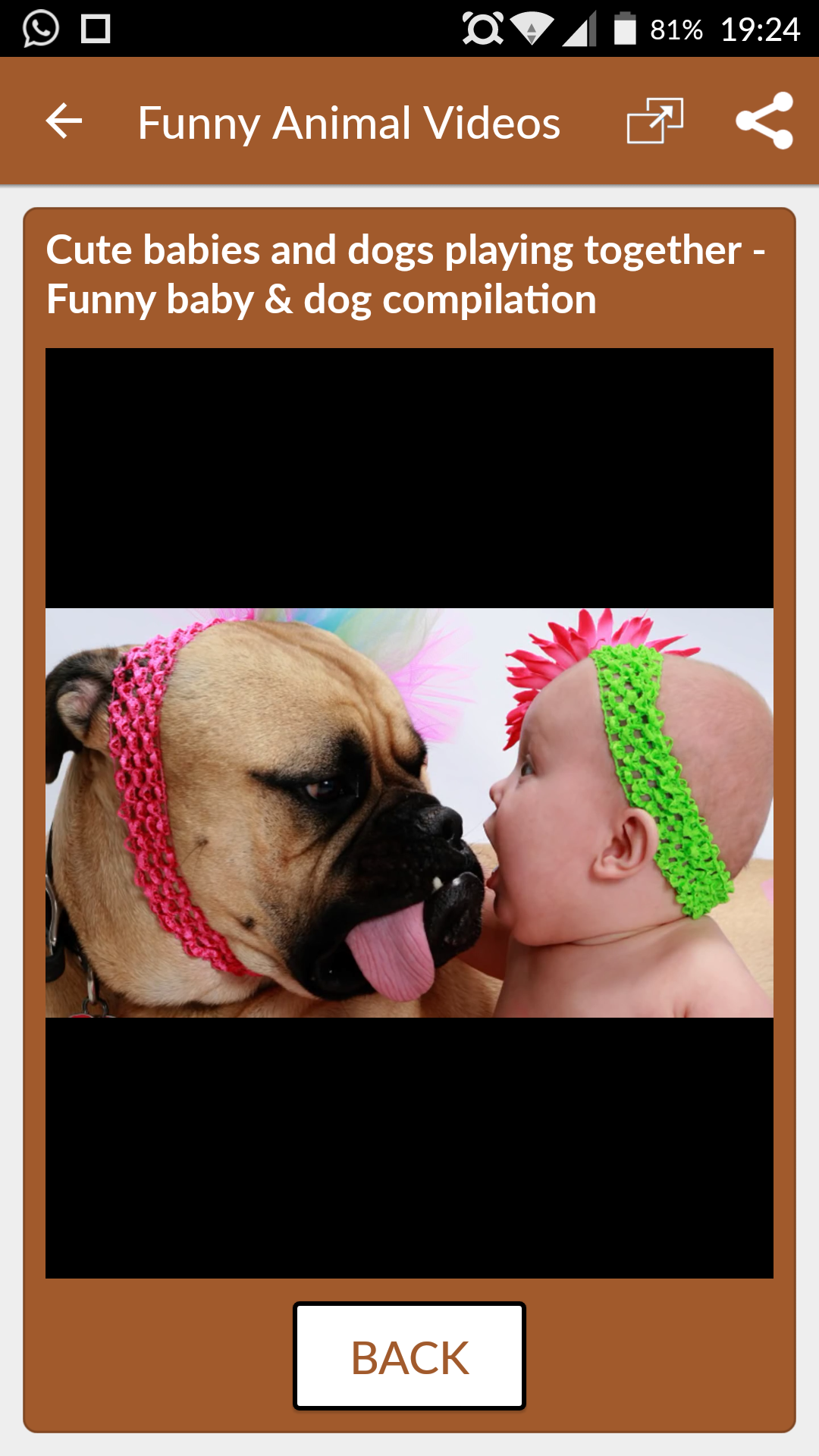 Funny Animal Videos: Cats Dogs APK for Android β Download Funny Animal Videos: Cats Dogs APK Latest Version from Funny Animal Videos: Cats Dogs APK for Android β Download Funny Animal Videos: Cats Dogs APK Latest Version from