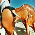 Funny videos