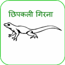 Chhipkali girana (in Hindi) APK