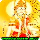 Bhramari Mantra APK