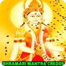 Bhramari Mantra aplikacja