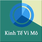 Trac nghiem kinh te vi mo icon