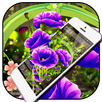 Vivid Flower Launcher APK