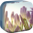 Violet Flowers Live Wallpaper icône