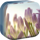 Violet Flowers Live Wallpaper APK