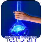 Speed Test Brain Genius icône