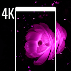 4K  Wallpapers 아이콘
