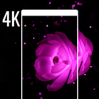 4K  Wallpapers icon