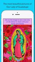 Virgen de Guadalupe. Imágenes, oraciones, historia โปสเตอร์