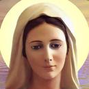 Virgin Mary Gallery APK