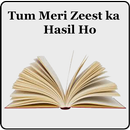Novel - Tum Meri Zeest Ka Hasil Ho. APK