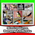 Kumpulan Suara Burung Master アイコン