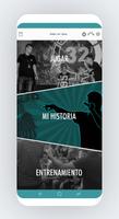 FreestylerHistory โปสเตอร์