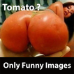 Only Funny Images Just For Laugh