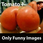 Only Funny Images Just For Laugh أيقونة