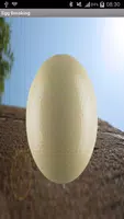 Egg Breaking gönderen