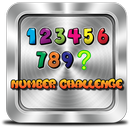 Number Challenge APK