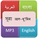 সূরা আল মু’মিন (বিশ্বাসী) APK