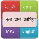 সূরা আল জাসিয়াহ (নতজানু) APK