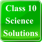 Class 10 Science Solutions icône