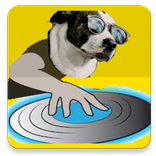 Remix Dog Studio Sounds