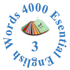 4000 Essential English Words 3 icône