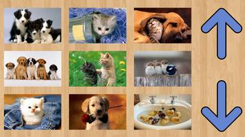 Puzle15 Lovely Pets poster