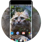 Theme for Xolo X910 Cat Wallpaper ikona