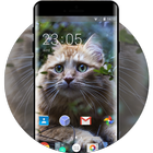 Theme for Xolo X910 Cat Wallpaper biểu tượng