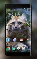 Theme for Xolo X910 Cat Wallpaper plakat