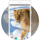 Theme for Xolo Q2500 Lion Wallpaper icône