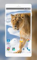 Theme for Xolo Q2500 Lion Wallpaper โปสเตอร์