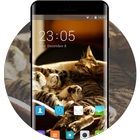 Theme for Xolo 8X-1000 Cat Wallpaper 图标