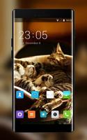 Theme for Xolo 8X-1000 Cat Wallpaper 海报