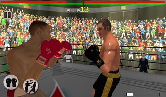 Real 3D Boxing Punch capture d'écran 3