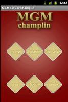 MGM Liquor Champlin poster