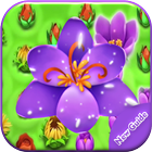 Tips Blossom Blast Saga icône