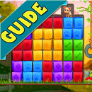 Guide Pet Rescue Saga APK